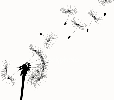 what i would give for a whole field of dandelions to wish on id wish for 